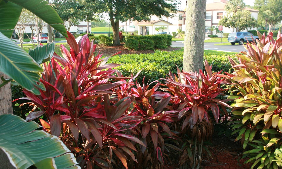 Ventura Condo | Aug-Oct 2026-Sunny, Quiet .Main floor ,Gated, WiFi-GOLF-pools, 30 to universal
