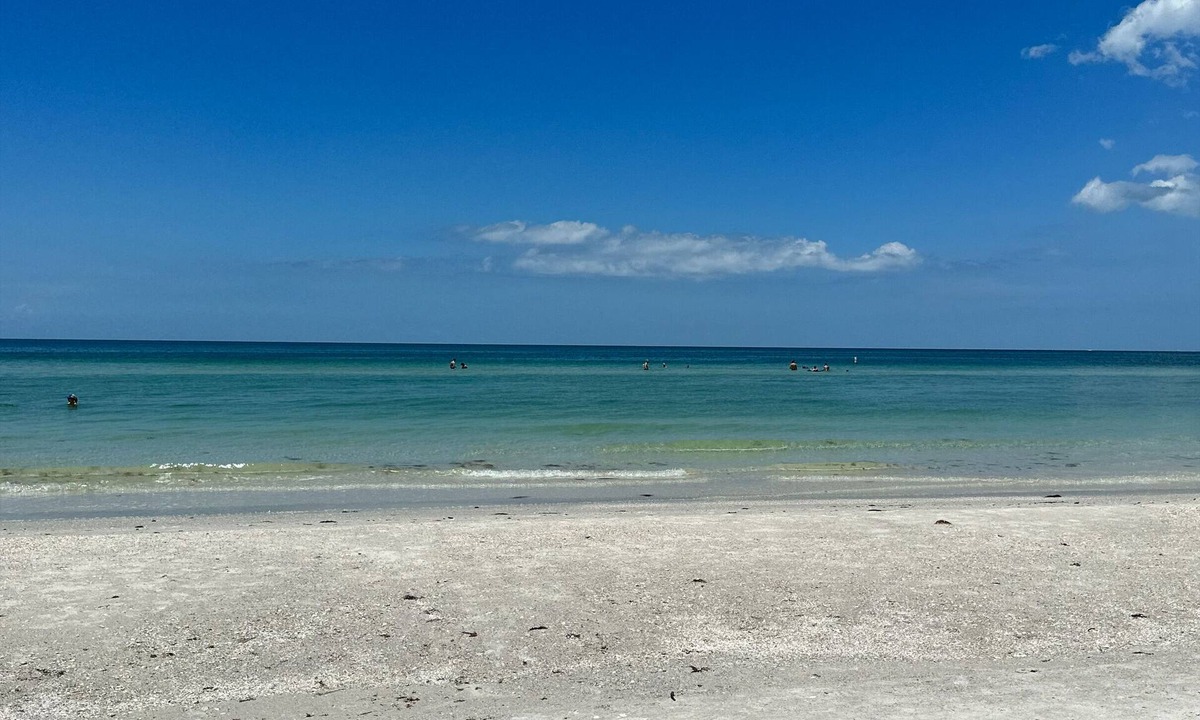 Belle Vista Condo | Beach comfort with no hidden fees.