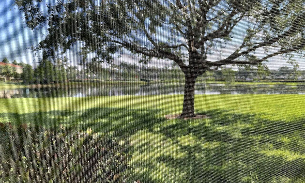 Biggar House | Beautiful 2 story Townhome with view of lake. Minutes from beach
