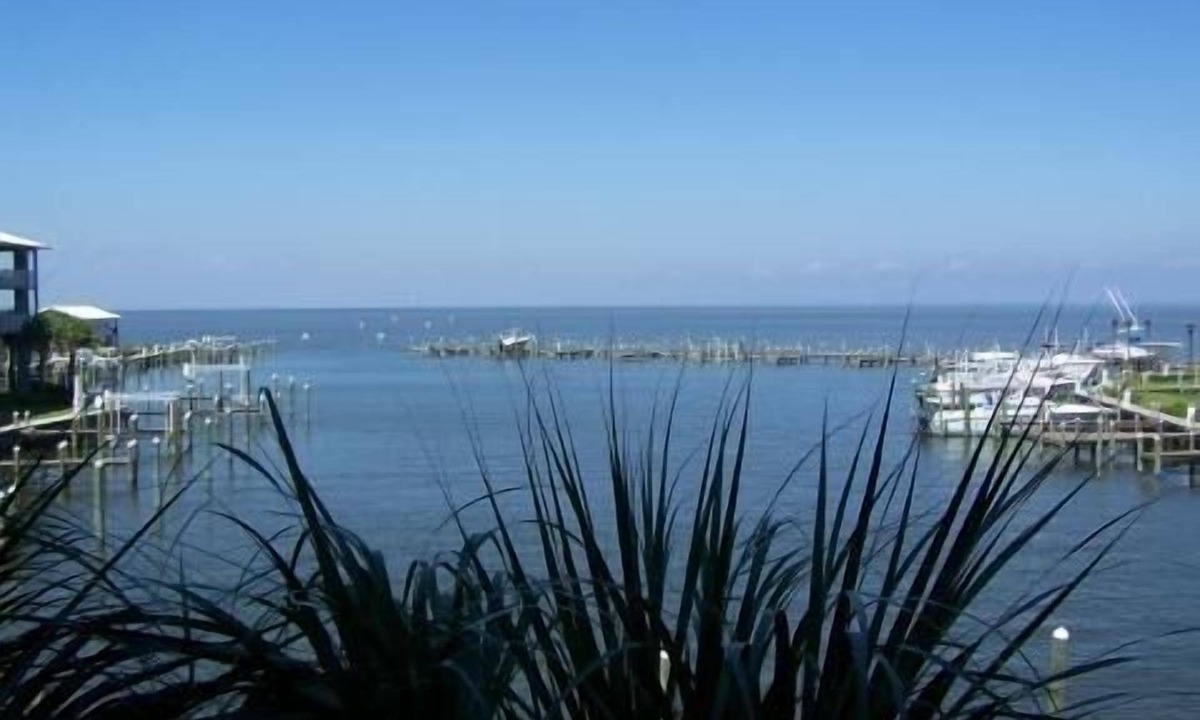 Fort Morgan Pines Condo | Best of Both Worlds, Unbelievable Views, I have another unit if booked.