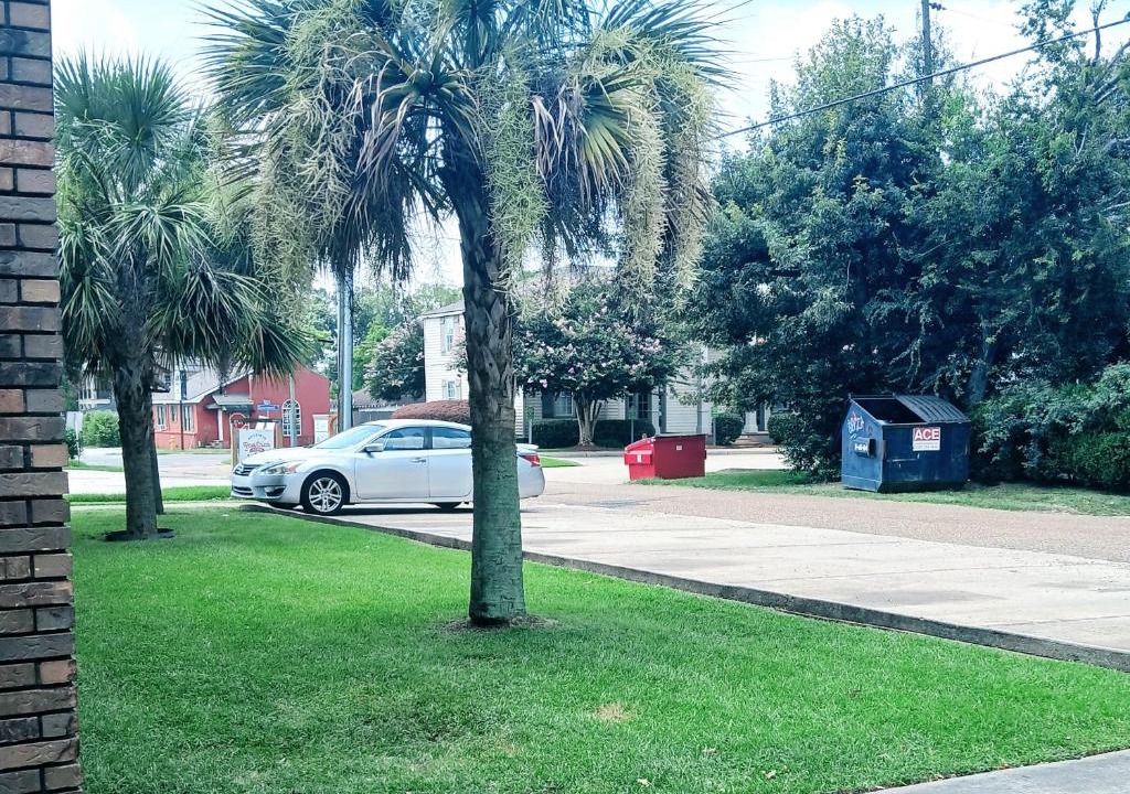 Mid City South Apartment | Boutique Style 2 Bdrm Apt offering Any & All of a Traveler's Needs