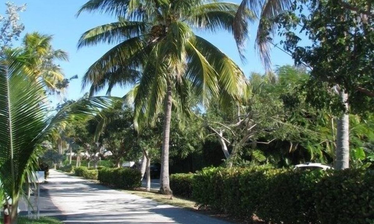 Santa Barbara Estates House | Charming Pompano Beach escape, nr ocean and hotspots, Walk to Beach, Hot Tub.