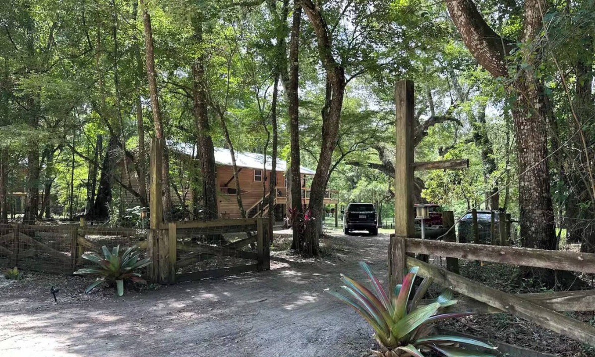 Branford House | Confluence Cabin: Waterfront - Float the Ichetucknee right to our dock
