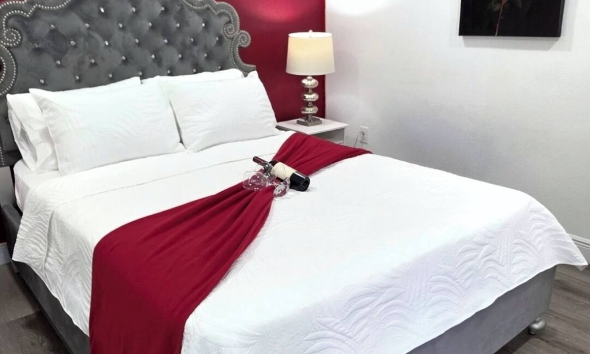 Carrollwood Apartment | Cozy Guesthouse near Raymond James Stadium & Tampa Airport