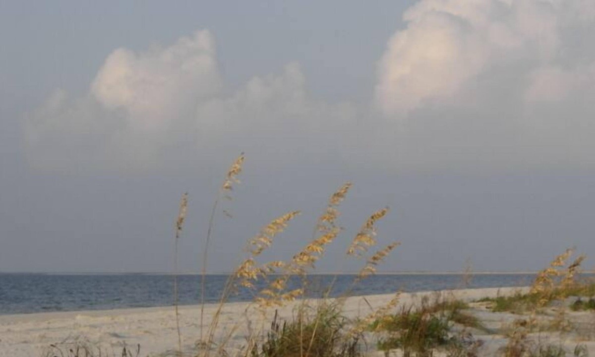 Dauphin Island Condo | Direct Beach Front, Beach/Ocean View, 2 Pools, Stylish, Comfortable & Relaxing
