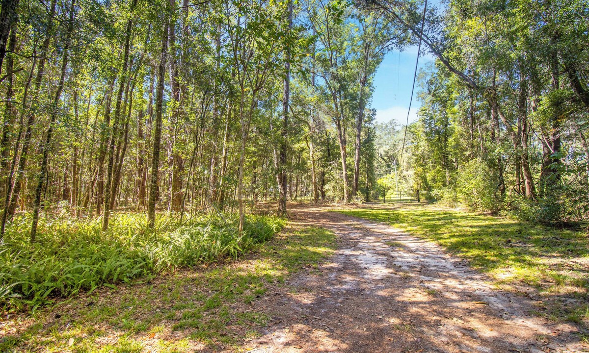 Alachua Apartment | Nature Lover’s Studio Comfort & Convenience