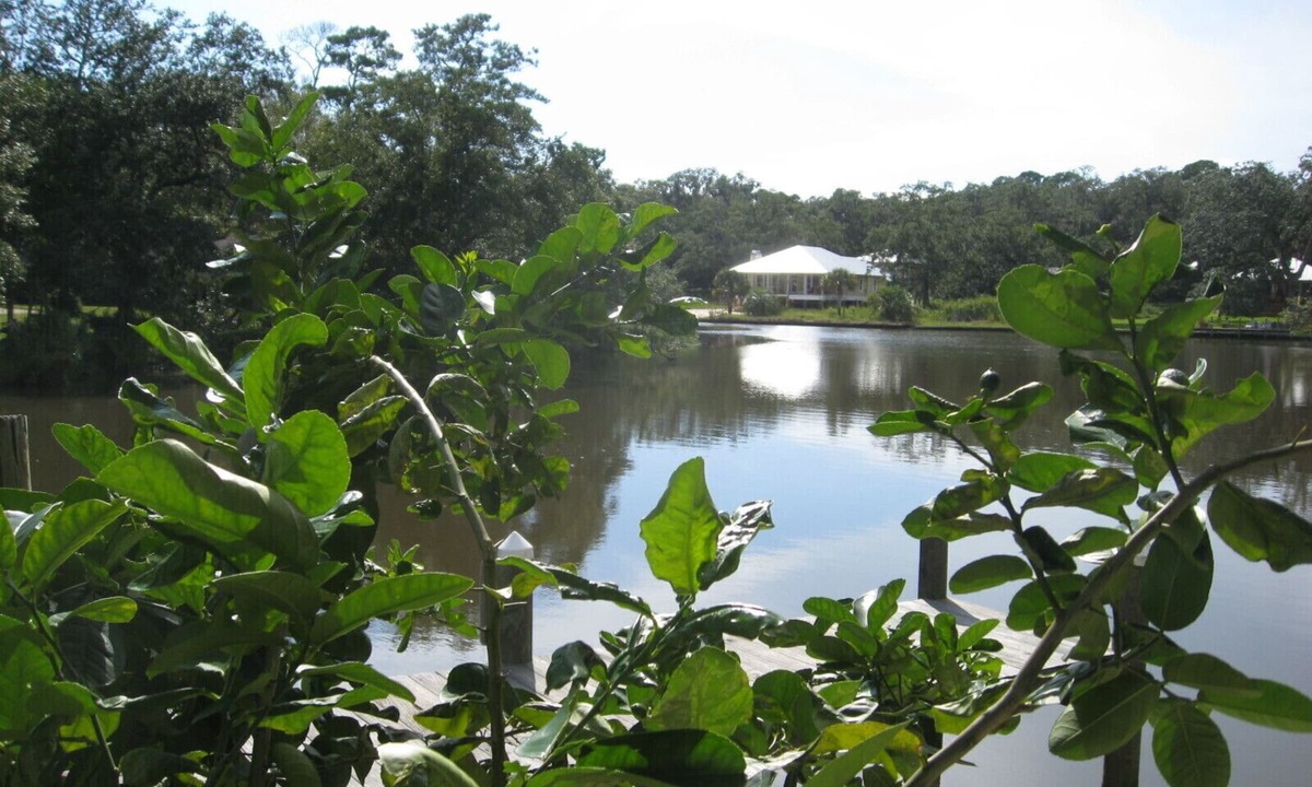 Foley Cabin | Perfect time to go fishing! Beaches are still warm too. Book now!