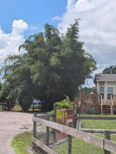Braden River Apartment | Private Waterfront Cottage with pool on 5 Acres Lakewood Ranch Area in Myakka FL
