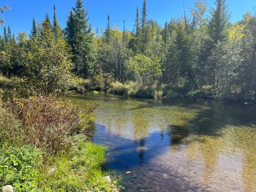 Honor House | Sleeping Bear Riverside Cabins - Cabin 5