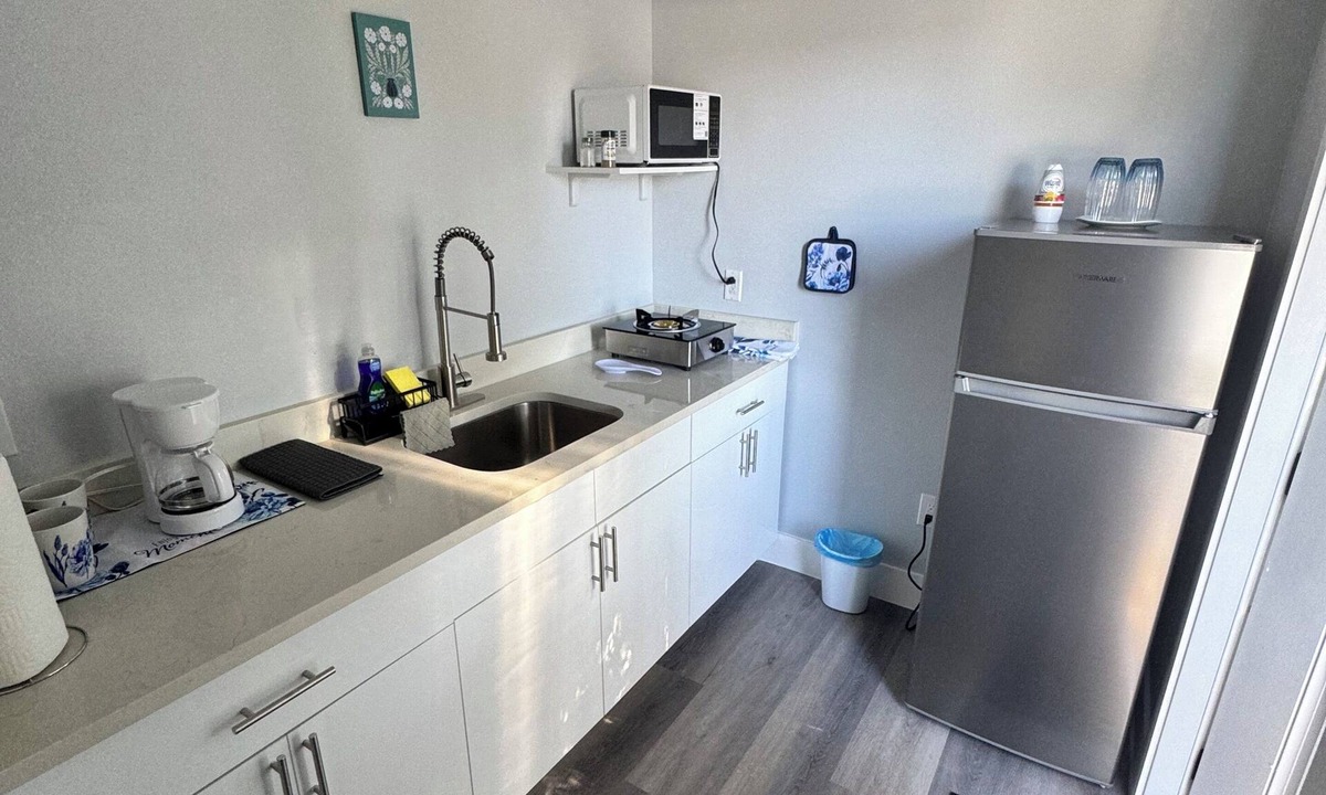Town N County Park Apartment | Spacious Room in the heart of Tampa FL!