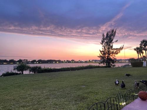 Ives Estates Apartment | World Cup Stay Near Hard Rock & FREE Airport Ride