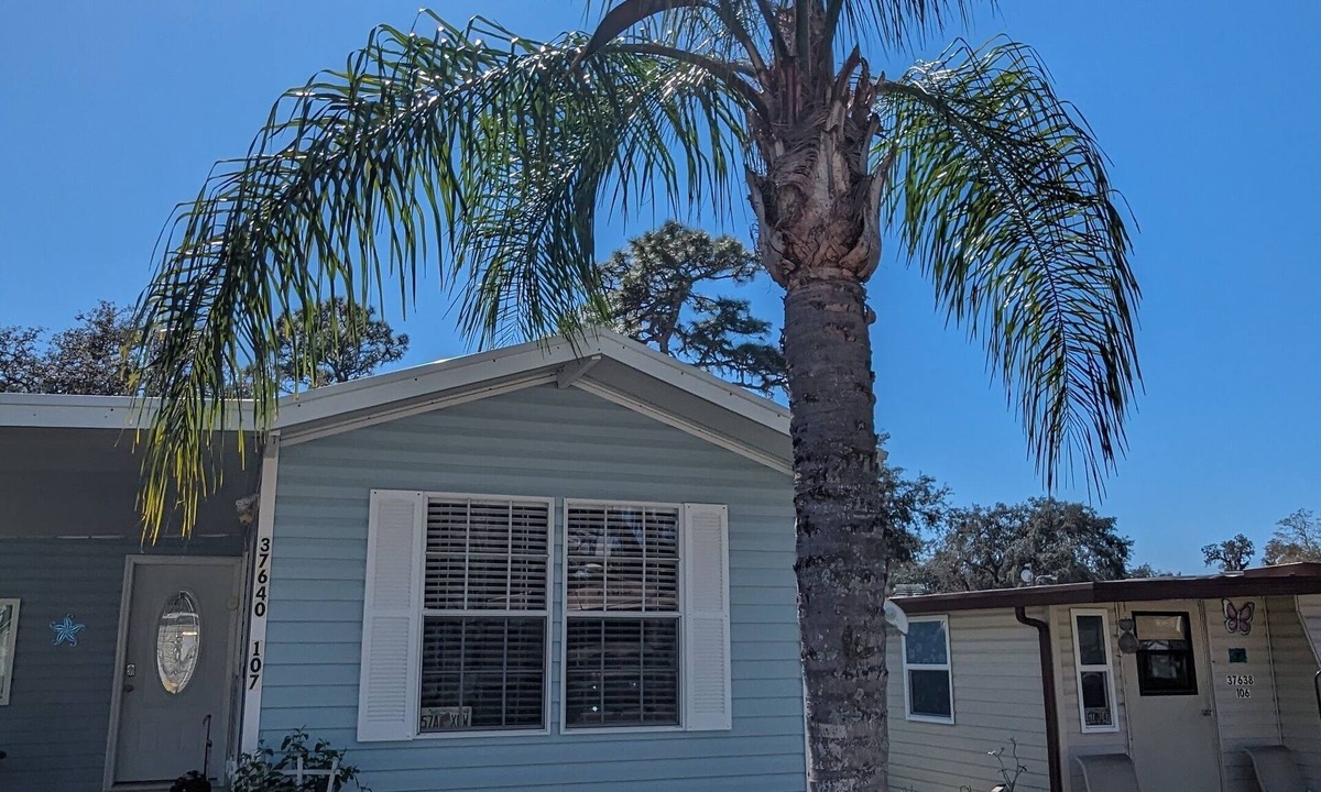 Zephyrhills South House | Zephyrhills Florida close to Tampa, Zoo, Hard Rock, and Bush Gardens. Pool.
