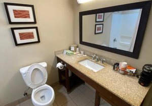 Comfort Inn Opelika - Auburn