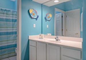 Dolphin Key 3C