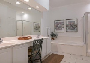 Dolphin Key 3C