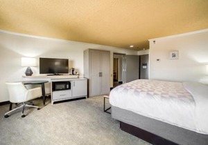 Holiday Inn Mobile Downtown Historic District by IHG