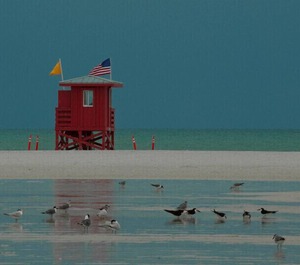 Beachcomber Longboat Key 