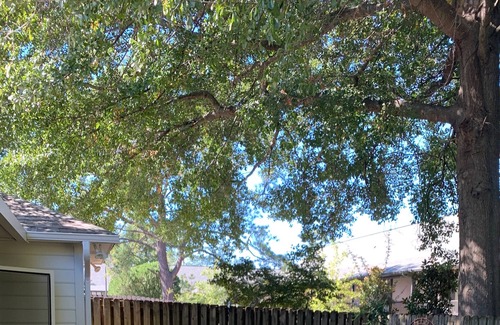 Tuscaloosa House | Close to Everything...Next to Perfect