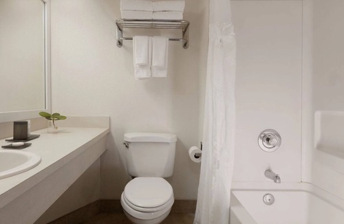 Pinellas Point Hotel | 2 Breathtaking Units | St. Pete Adventure & Outdoor Activities | Tampa Bay Views