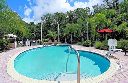 Wesley Chapel Hotel | 3 Poolside Suites Near Busch Gardens, ZooTampa, Golf & Premium Outlets