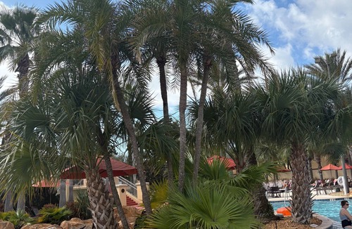 Regal Palms House | 4B/3B townhome close to Disney! Onsite pools, hot tubs, gym & restaurant!