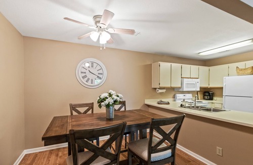 Auburn Apartment | 601 N Gay St - Steps to Downtown