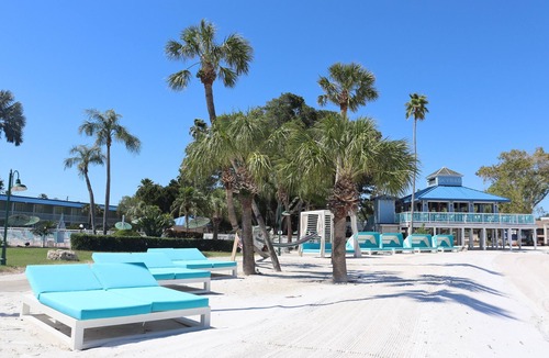 Pinellas Point Hotel | A Slice of Paradise | Relax, Play, & Indulge in Unique St Pete Experience!