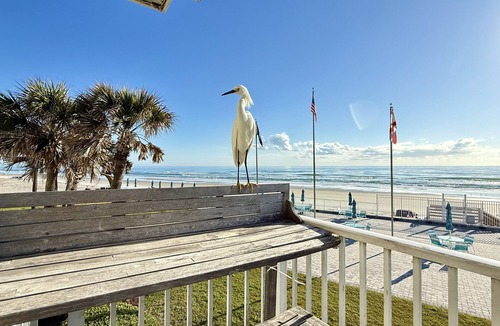 Lenox Park Apartment | An adorable, direct oceanfront front studio with a large private balcony.