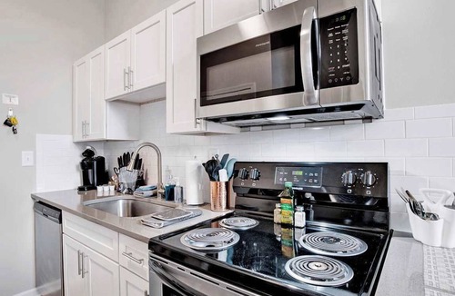 Central Business District Apartment | Beautiful 1 BR Renovated Apt in downtown