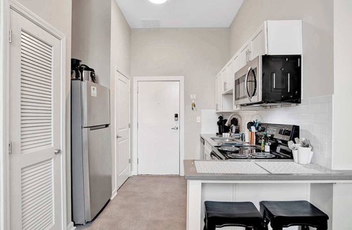Central Business District Apartment | Beautiful 1 BR Renovated Apt in downtown