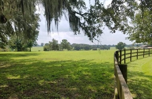 Alachua House | Beautiful farmhouse on acreage! Interact with the horses, enjoy the country!