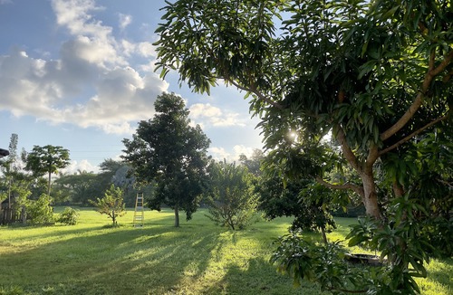Homestead House | Best location to explore Everglades & the Florida Keys. Beautiful private home.