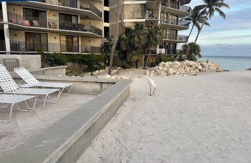 Key West Condo | Botanical Island Delight Key West fantastic discounts for Summer & Fall
