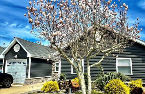 Mystic Island House | Charmingly decorated , beautiful lagoon front beach house in Little Egg Harbor