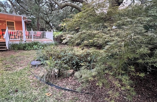 Northeast Pensacola House | Charming home near 1-10, WiFi, deck, close to everything, yard, pets, 65” TV.