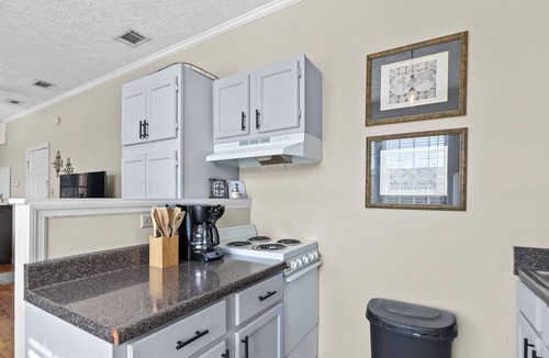 Auburn Apartment | Classic Loft in Downtown Auburn, Alabama! LOCATION!