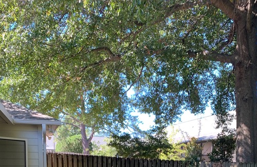 Tuscaloosa House | Close to Everything...Next to Perfect