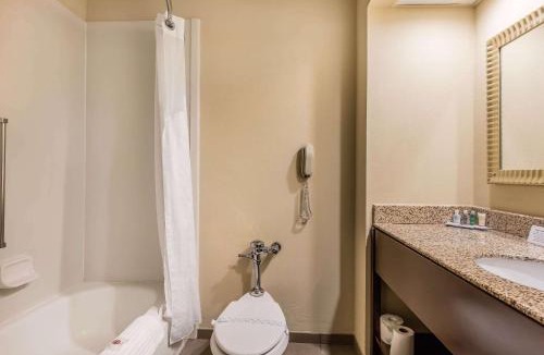 Jasper Hotel | Comfort Inn & Suites Jasper Hwy 78 West