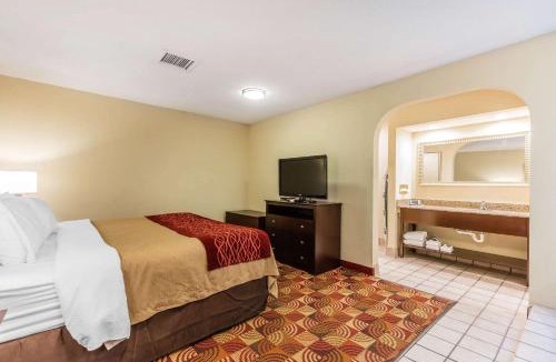 Jasper Hotel | Comfort Inn & Suites Jasper Hwy 78 West