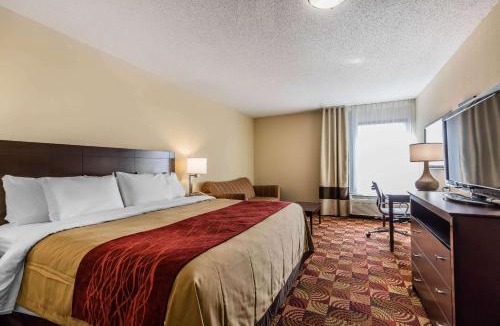 Jasper Hotel | Comfort Inn & Suites Jasper Hwy 78 West