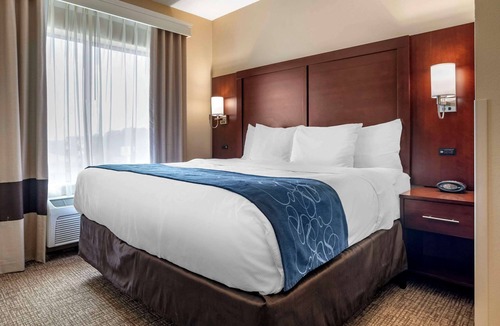 Pell City Hotel | Comfort Suites Pell City I-20 exit 158