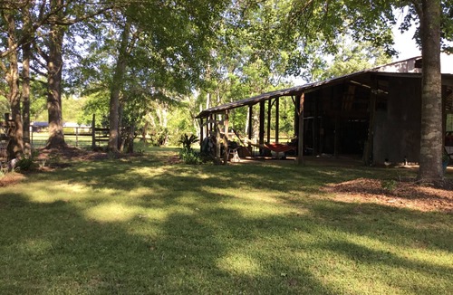 Perkinston Cottage | Cozy 1-bedroom cottage in beautiful Perkinston located on a peaceful farm.