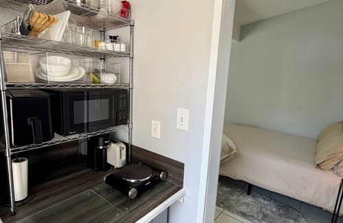 Greater Northdale Apartment | Cozy 1-bedroom private studio in phenomenal Carrollwood Tampa