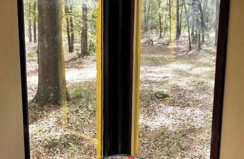 High Springs Cabin | Cozy 1 bedroom with loft cabin in High Springs 7 minutes from Ginnie Springs