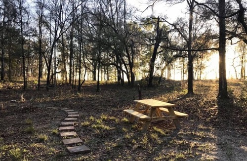 High Springs Cabin | Cozy 1 bedroom with loft cabin in High Springs 7 minutes from Ginnie Springs