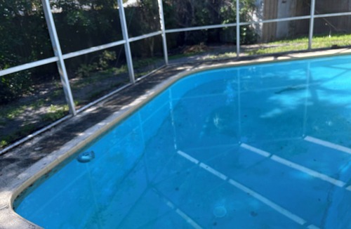 Jungle Terrace House | Cute Pool home in Jungle Terrace - 3/1 fast WiFi, 35 days minimu - 10' to beach