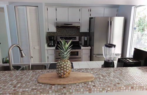 Lake Magdalene House | Elegant Snowbird Stay Renovated Lutz Villa with Heated Pool & Canal