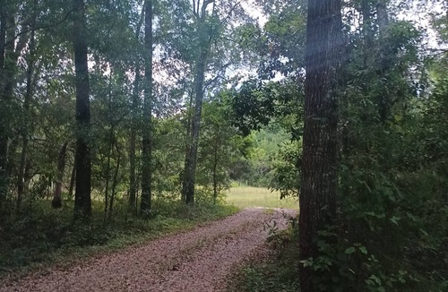 Branford RV Rental | Extended Camping Site - 5 months - North Florida Snowbird Paradise - Ichetucknee
