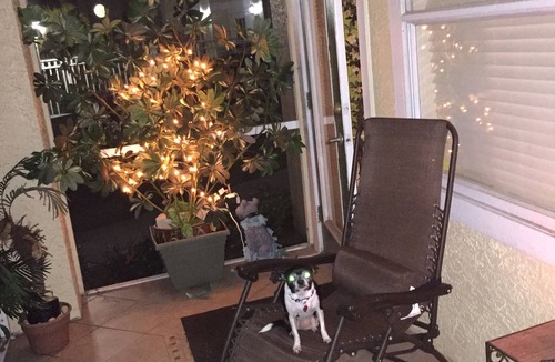 Villas Condo | Fully furnished, pet friendly spic'n'span in awesome Fort Myers