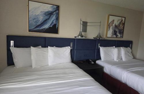 Bessemer Hotel | Hamilton Inn Birmingham-Bessemer